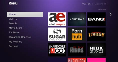 roku tv porn apps|Private Channels Are Gone but You Can Still Watch Porn on。